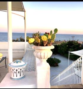 Villa La Sciroccata Leuca