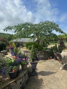 The Nest at Rockhill