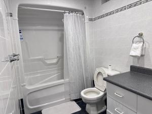 Lower-Level Classic House in Richmond Hill