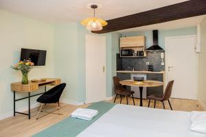 Elsa vert - charmante suite au cœur dOrléans