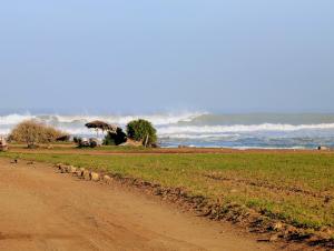 Pool view apartment, beach access, nature & quiet