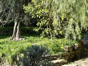 HOST4U - Cozy Retreat at House Don Camillo, in Trincheri
