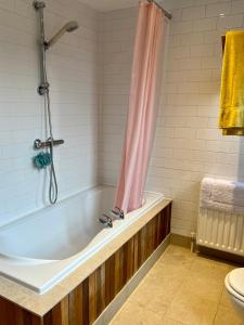 Quiet Guest Room in London Homestay