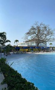 Linda Alejandra Larrota