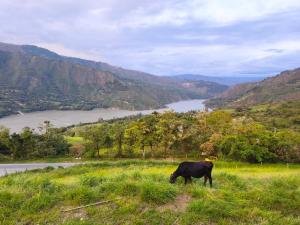 Camping vista hermosa
