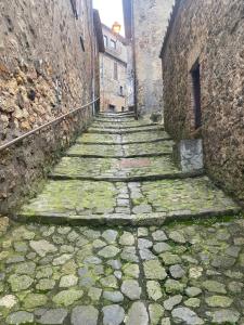 La Casa Dei Fiori
