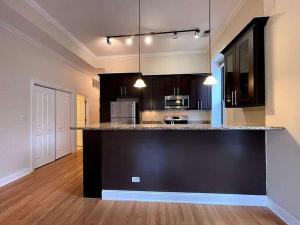 Gold Coast DOWNTOWN CHICAGO Sleeps 20