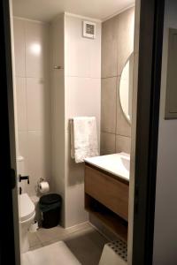 Fully Furnished Studio Apartment in Greystar Somma