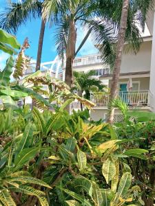 Punta Cana Lounge Beach 1