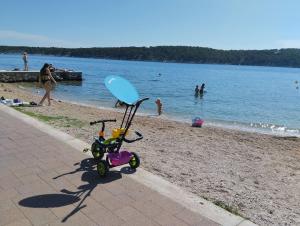 Apartments Andjela with terrace, garden and sea view