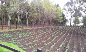 Villa San Pablo Subachoque