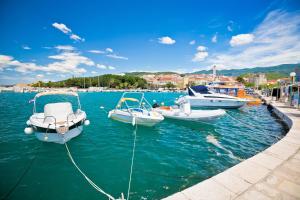 Apartments in Crikvenica 30464