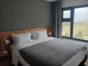 Panorama Aparts Chalten