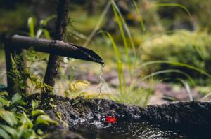 Yaki no Yu - Vacation STAY 29804v