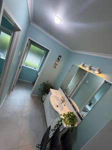 Waitomo Orchard Estate B&B