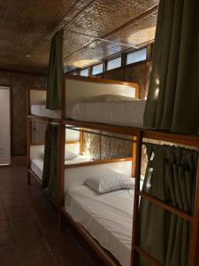 Jungle Hostel
