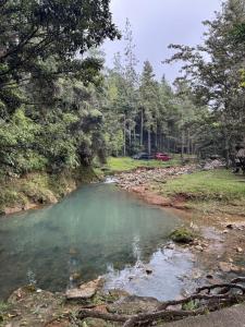 Casita Pino Azul Cabins Cerro Azul