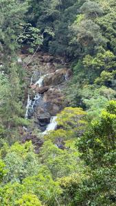 Casita Pino Azul Cabins Cerro Azul