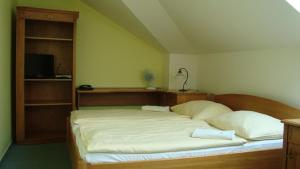 Double Room room in Hotel Krakonoš