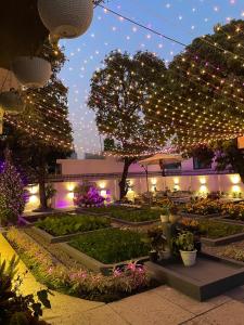 Garden view cottage Peaceful luxury stay