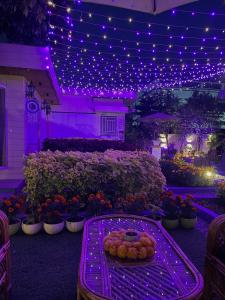 Garden view cottage Peaceful luxury stay