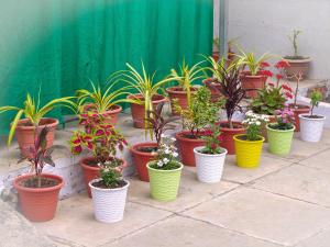 The Chambal Homestay, Gandhisagar