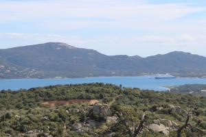Hotels Hotel Les Hauts de Porto-Vecchio : photos des chambres