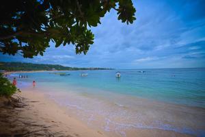 Kingfisher Beach