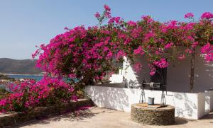 Ostria Studios Sifnos Greece