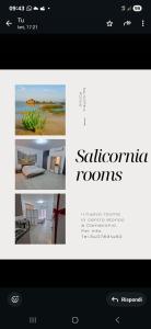Salicornia Rooms