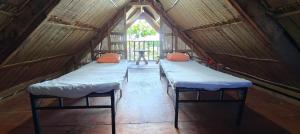 John and Novys beach bungalows