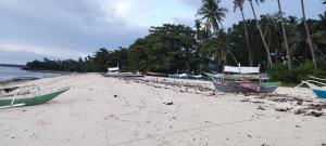 John and Novys beach bungalows
