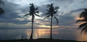 John and Novys beach bungalows
