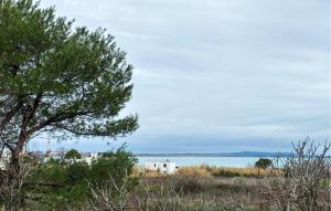 Stunning Apartment In Vrsi With Wifi