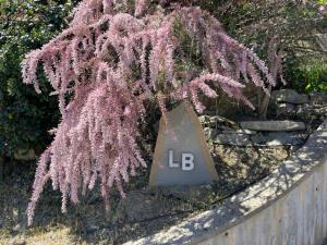 Le Balze Camere in Villa