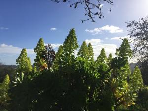 Algarve Casa with Pool