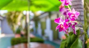 OYO 450 Rawai Studios Resort