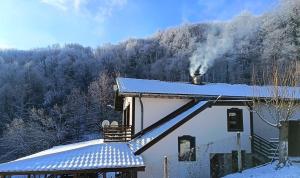 Todorica House, near Tryavna