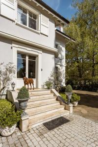 Residence MontBlanc Studio