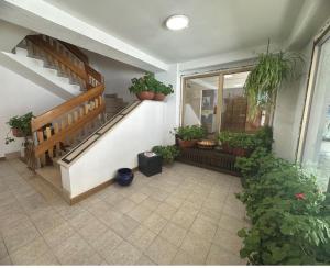 Panorama sul Cervino