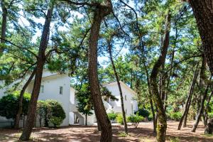 Seagaia Forest Cottages