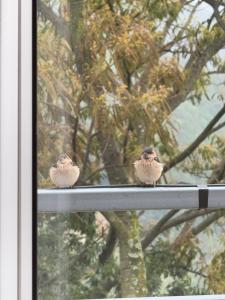 Perched on a mountain top, breathtaking city view