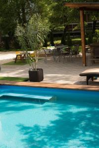 Pensjonat Silver Garden Si&oacute;fok Ungarn