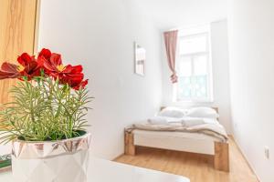 Elegant Private Rooms Near Danube With Garden Access