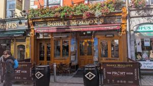 Modern Galway Apartment Sleeps 4 with Walk to City & Parking