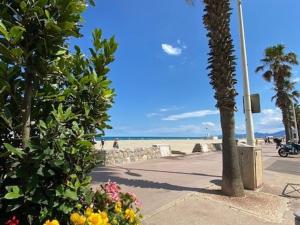 Appartement T2 avec Parking Privé et Balcon à Canet Plage - FR-1-696-21