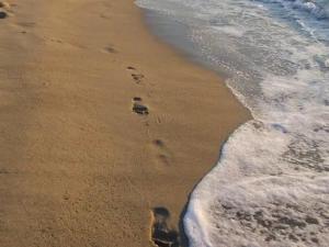 Appartement T2 avec Parking Privé et Balcon à Canet Plage - FR-1-696-21