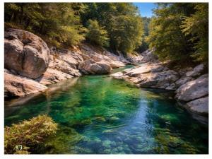 Lovely detached villa in Capo Comino img19