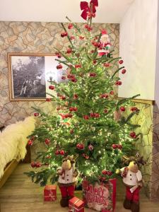 CZARNA TURNIA-Górska REZYDENCJA NA WYŁĄCZNOŚĆ