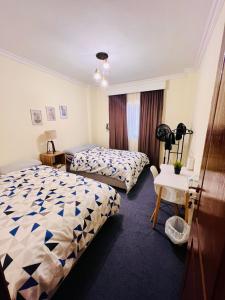 Shared apartment in New Cairo